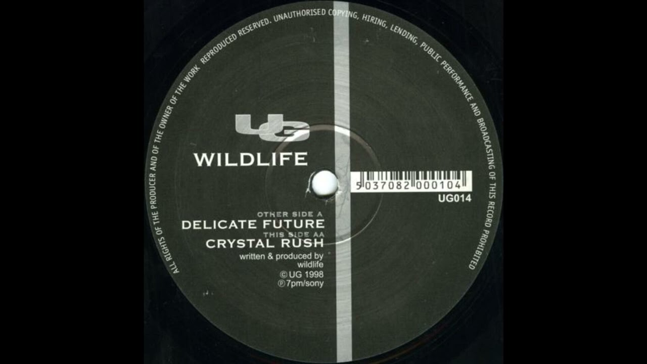 Wildlife - Delicate Future (1998)