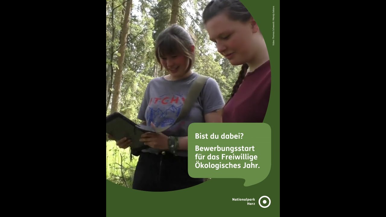 Dein FÖJ im Nationalpark Harz - jetzt bewerben!