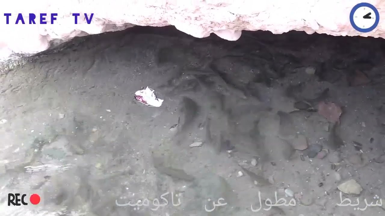 قصر تاكوميت ((( ومناضره الخلابة))) التصورية   عن بعد