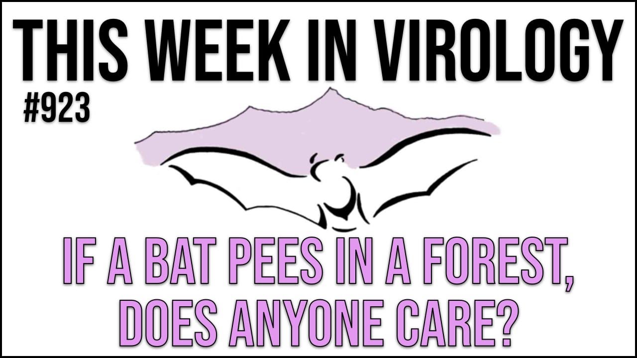 TWiV 923: If a bat pees in a forest, does anyone care?