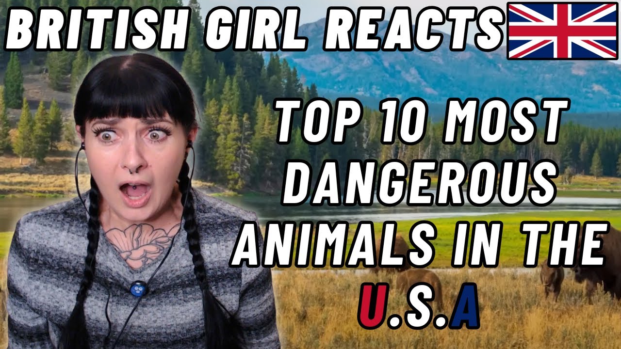 BRITISH Girl Reacts | TOP 10 MOST DANGEROUS ANIMALS IN THE USA!!