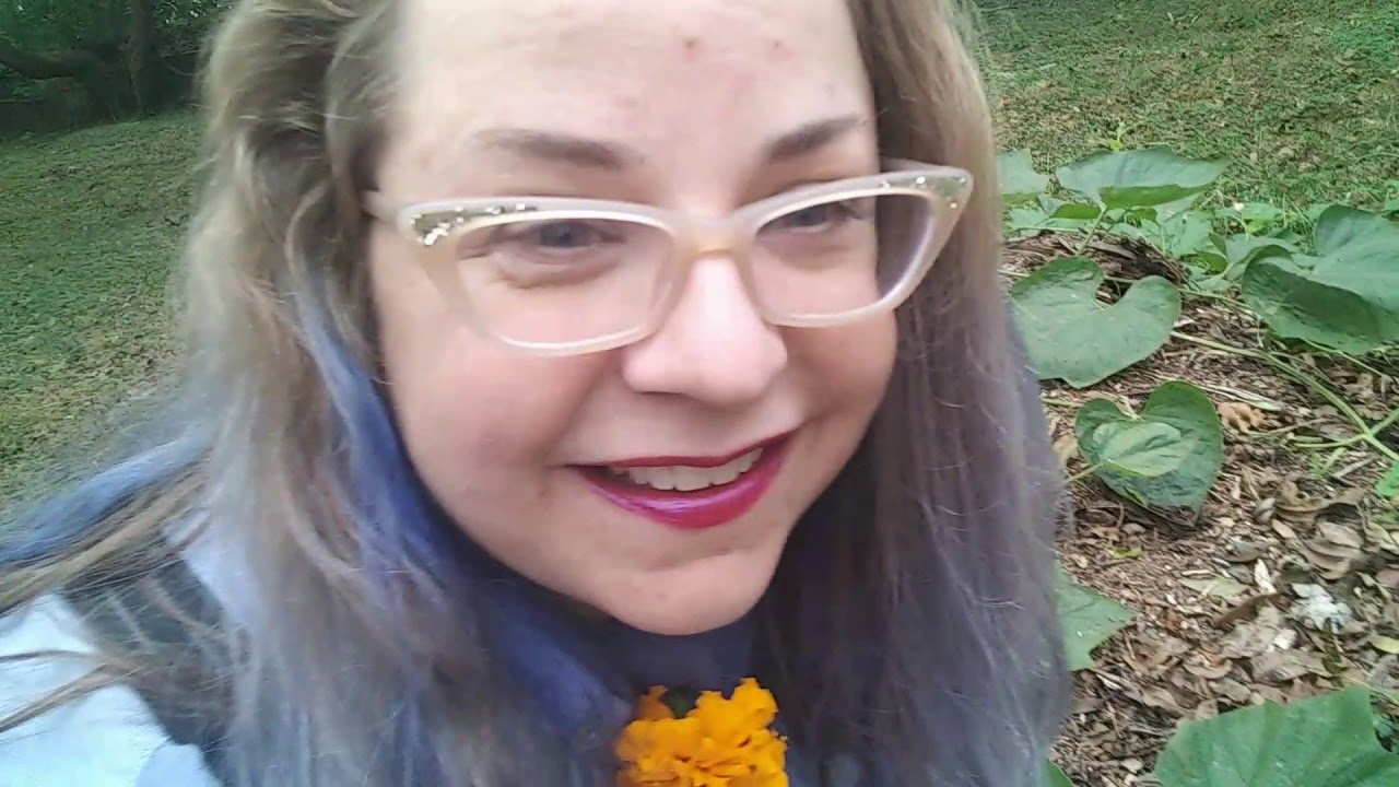 FARMER TRIES COTTAGECORE tiny farm real life vs aesthetic, baby snakes and updates!