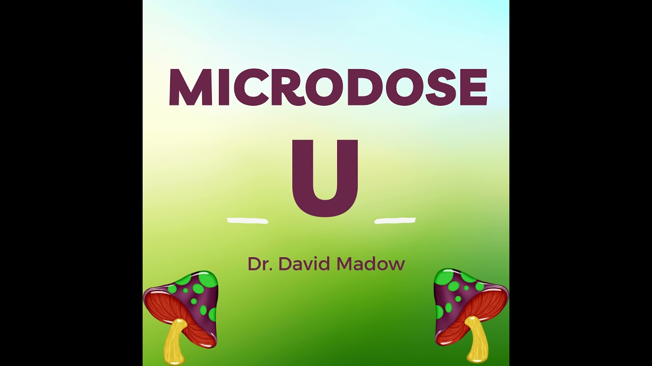I Just Microdosed LSD