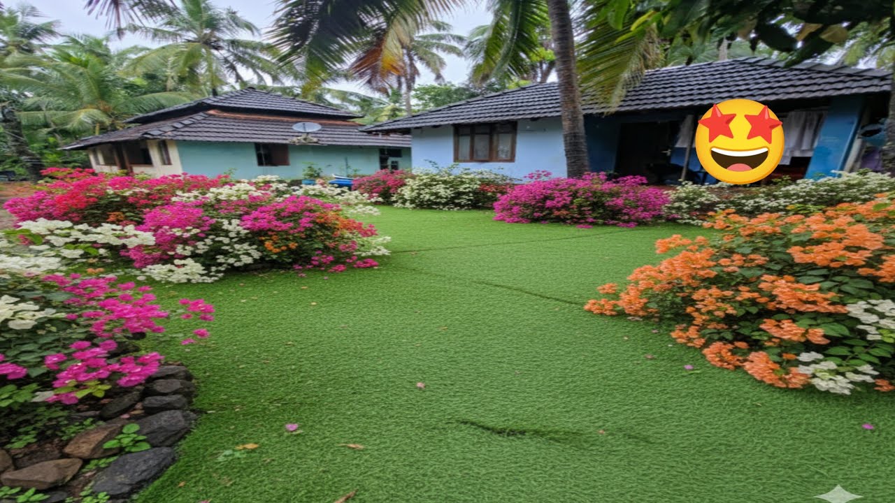  പൂത്തുലഞ്ഞ കടലാസ് ചെടിയും വീട്ടിലെ പച്ചക്കറികളും.