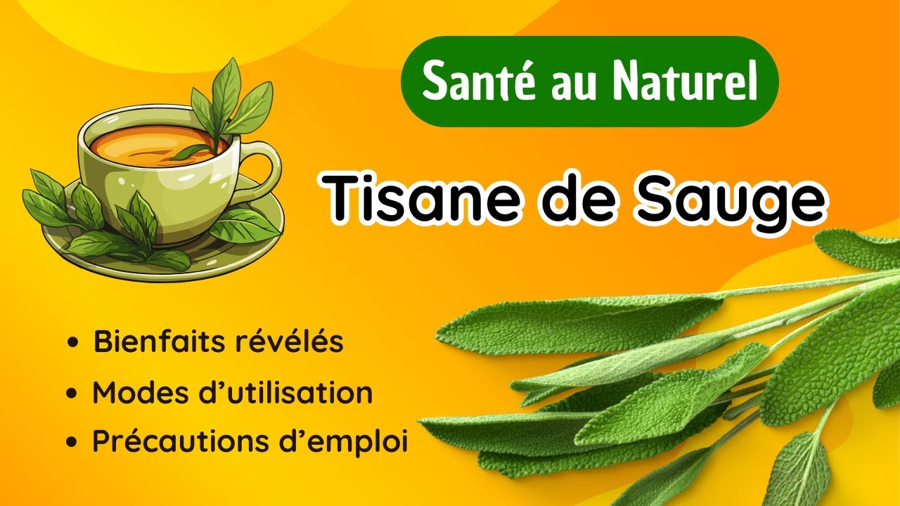 Que se Passe-t-il si vous Buvez de la Sauge chaque Soir ?