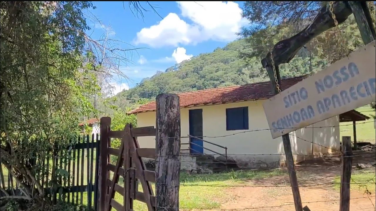 Graminha, varjão e benízio - Guaranésia interior de minas gerais