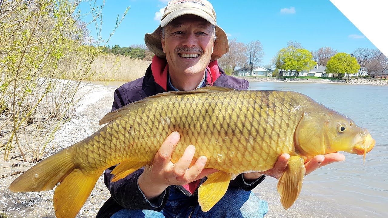 Shore Fishing for Carp - A Simple Setup for Easy Results | Boatless Angler