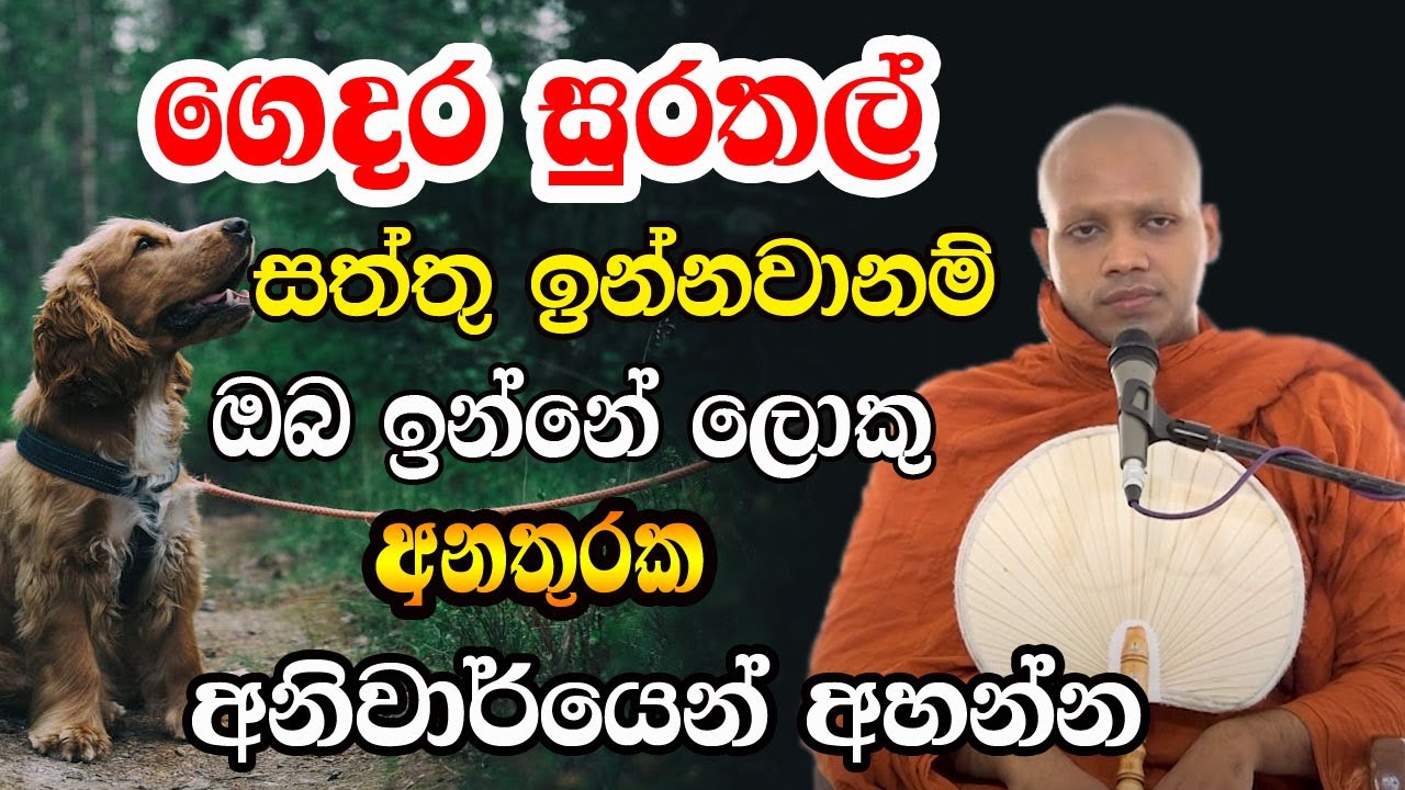 ගෙදර ඇති කරන සුරතල් සතුන් නිසා ඔබව දුගතියට යන්නේ මෙහෙමයි | hasalaka seelawimala himi bana |budu bana