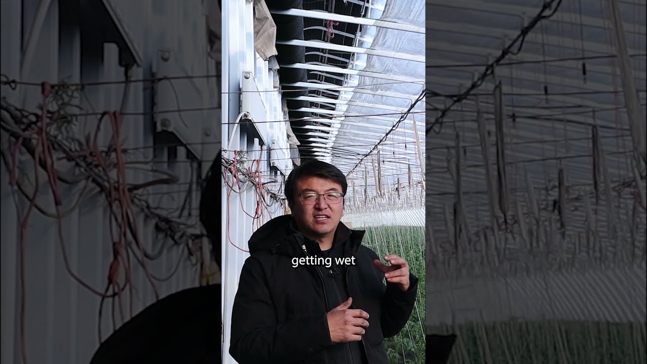 Эта пассивная солнечная теплица использует хитрый трюк для сохранения тепла зимой! #passivesolarg...