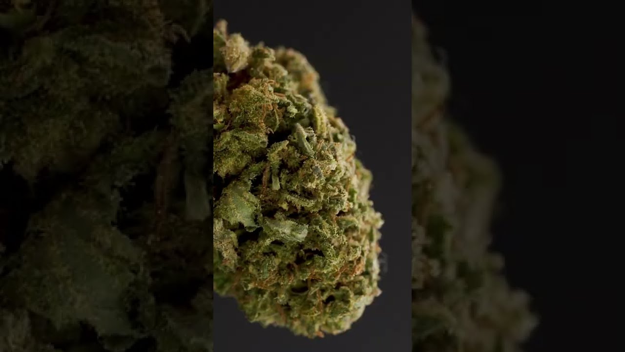 Flores CBD de la mejor calidad. Prueba las mejores variedades de marihuana CBD.