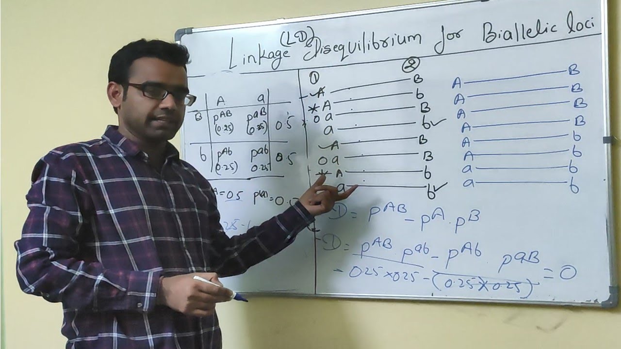 Linkage Disequilibrium (LD) for Biallelic Loci |