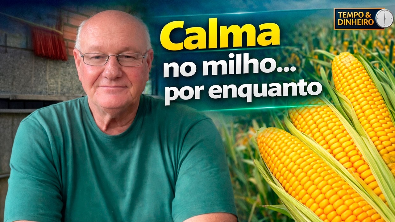 Milho fecha fevereiro na calmaria: mercado em compasso de espera