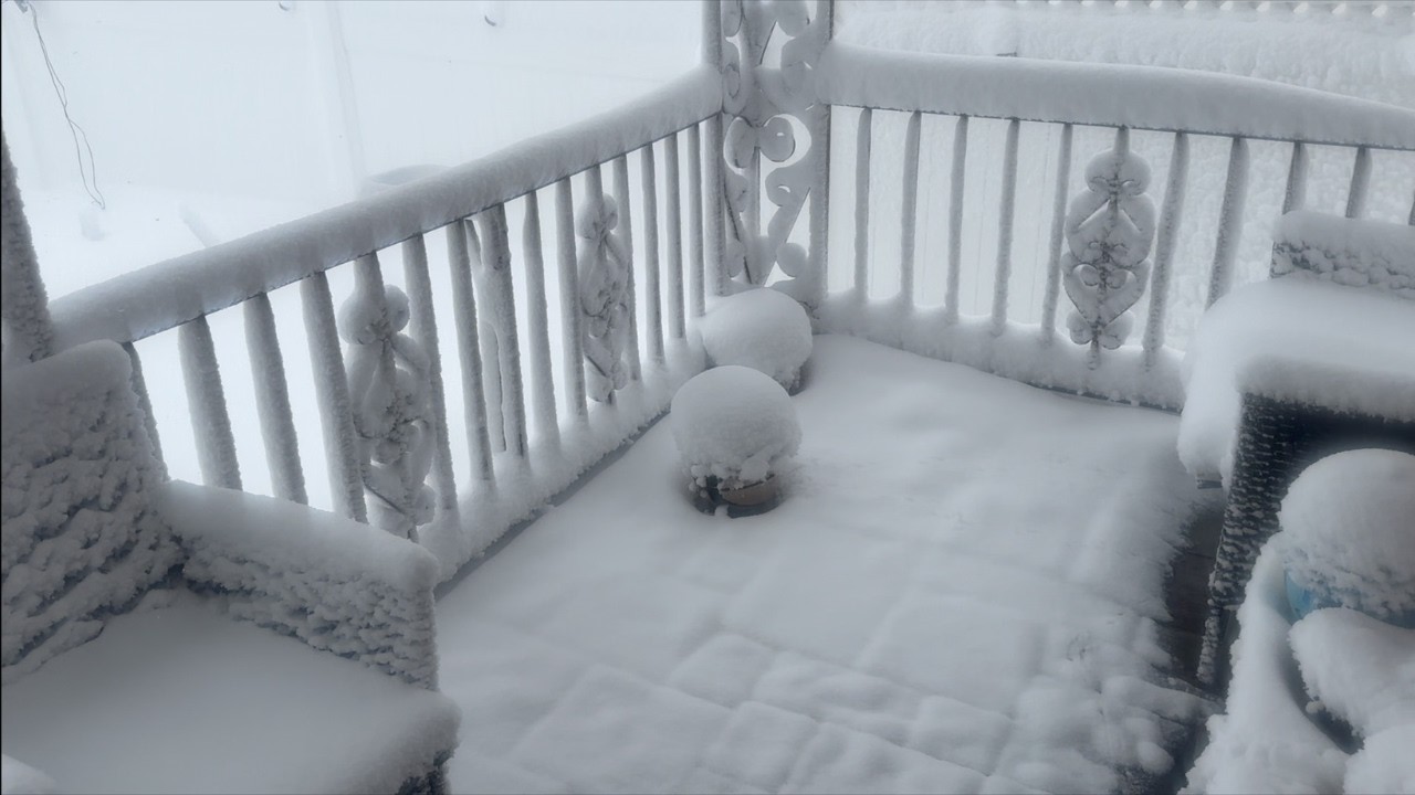 Blizzard