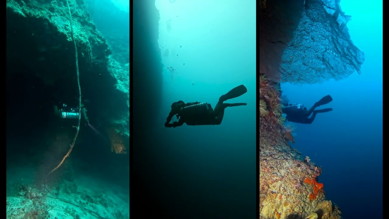 TONY WON OCEAN FATHOM GEMINI M CCR 2