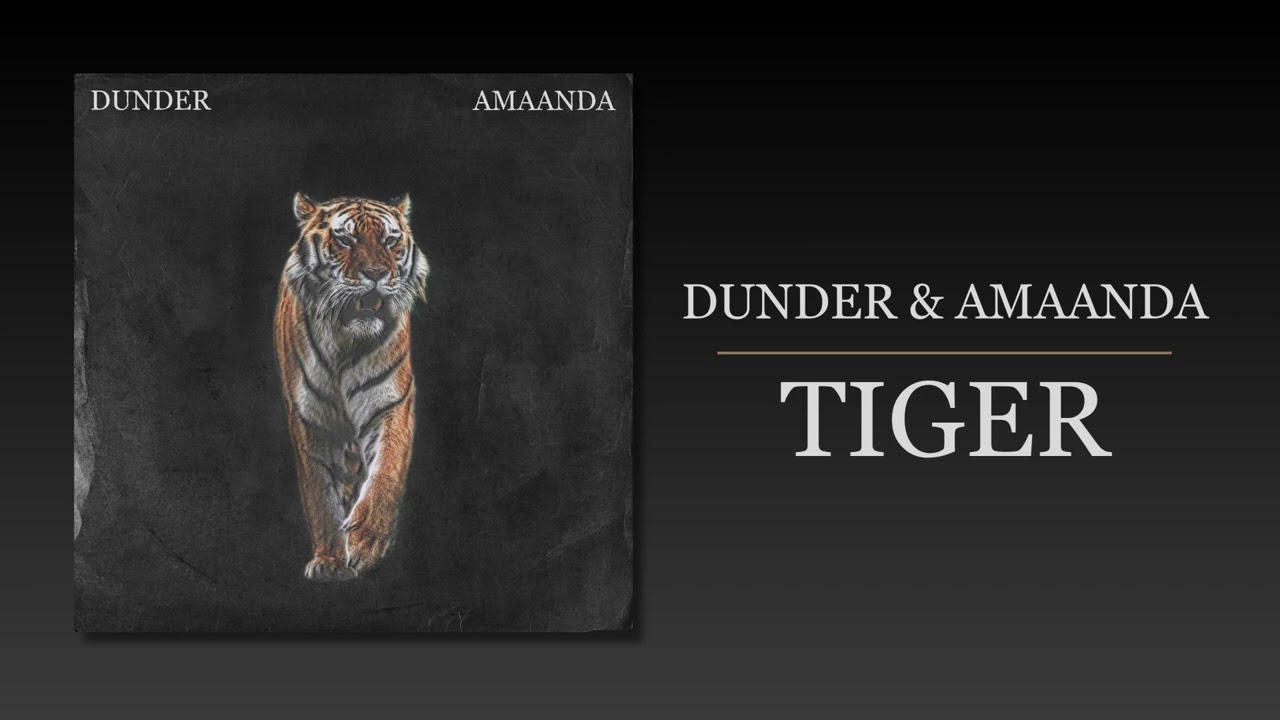 DUNDER & AMAANDA - Tiger (Official artwork video)