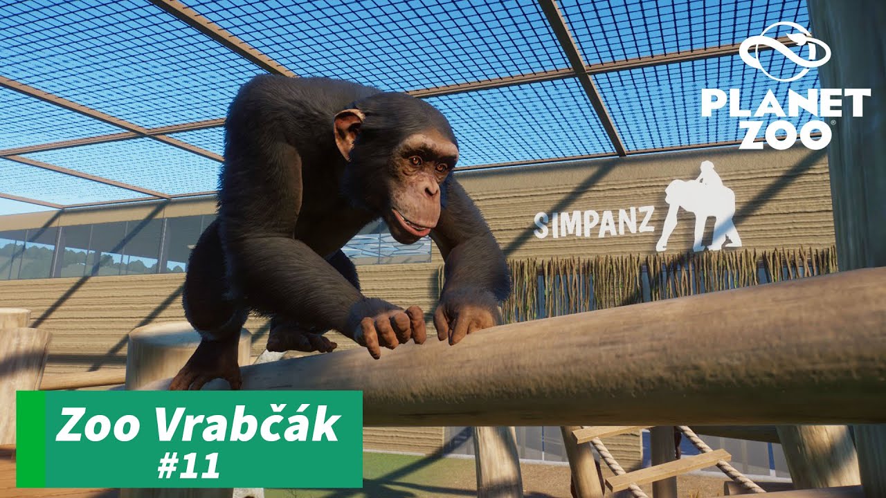 Šimpanz - Zoo Vrabčák - #011 - Planet ZOO CZ