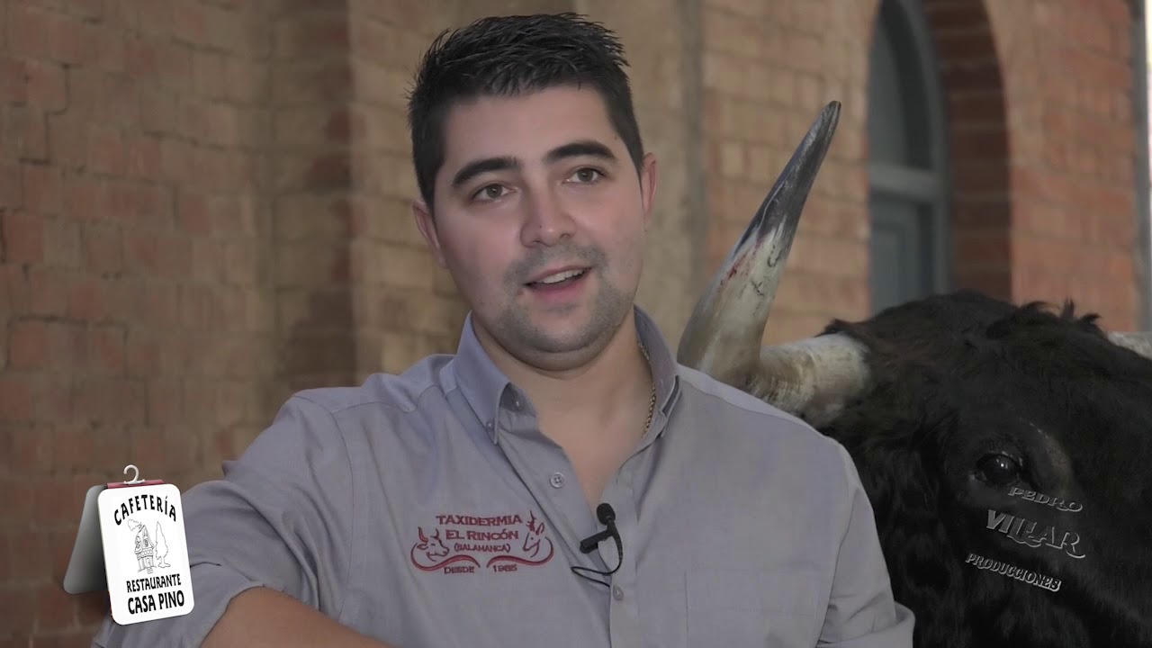 Taxidermia El Rincón