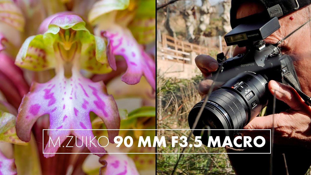 ¡Macro 2x! De paseo con el nuevo M.Zuiko 90 mm f3.5