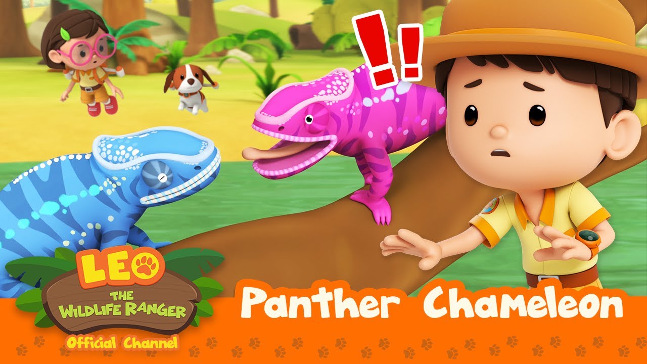 AMAZING! Colour-changing REPTILES! | Panther Chameleon | Leo the Wildlife Ranger | 
