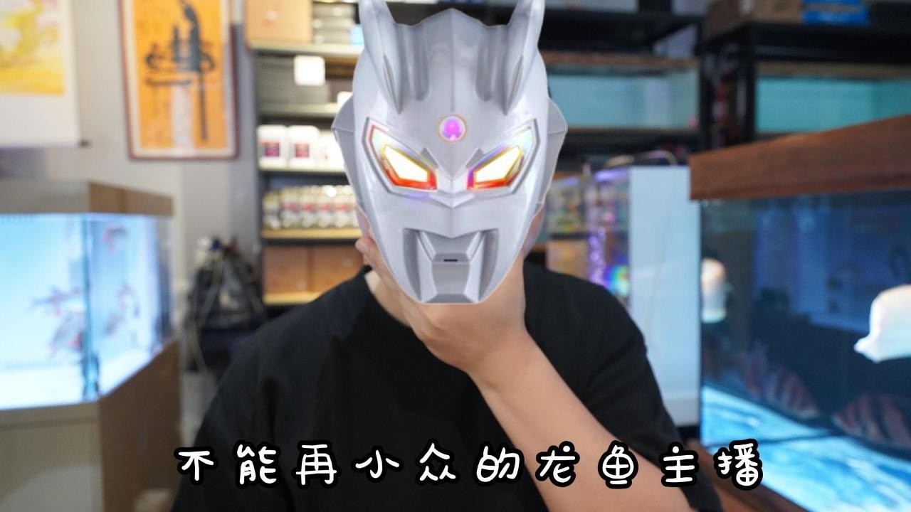 #576 龙鱼老孙分裂了——就为了发布一个鱼缸