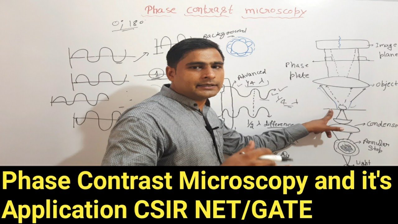 Phase Contrast Microscopy and it's application || GATE/CSIR NET-JRF LIFE SCIENCES