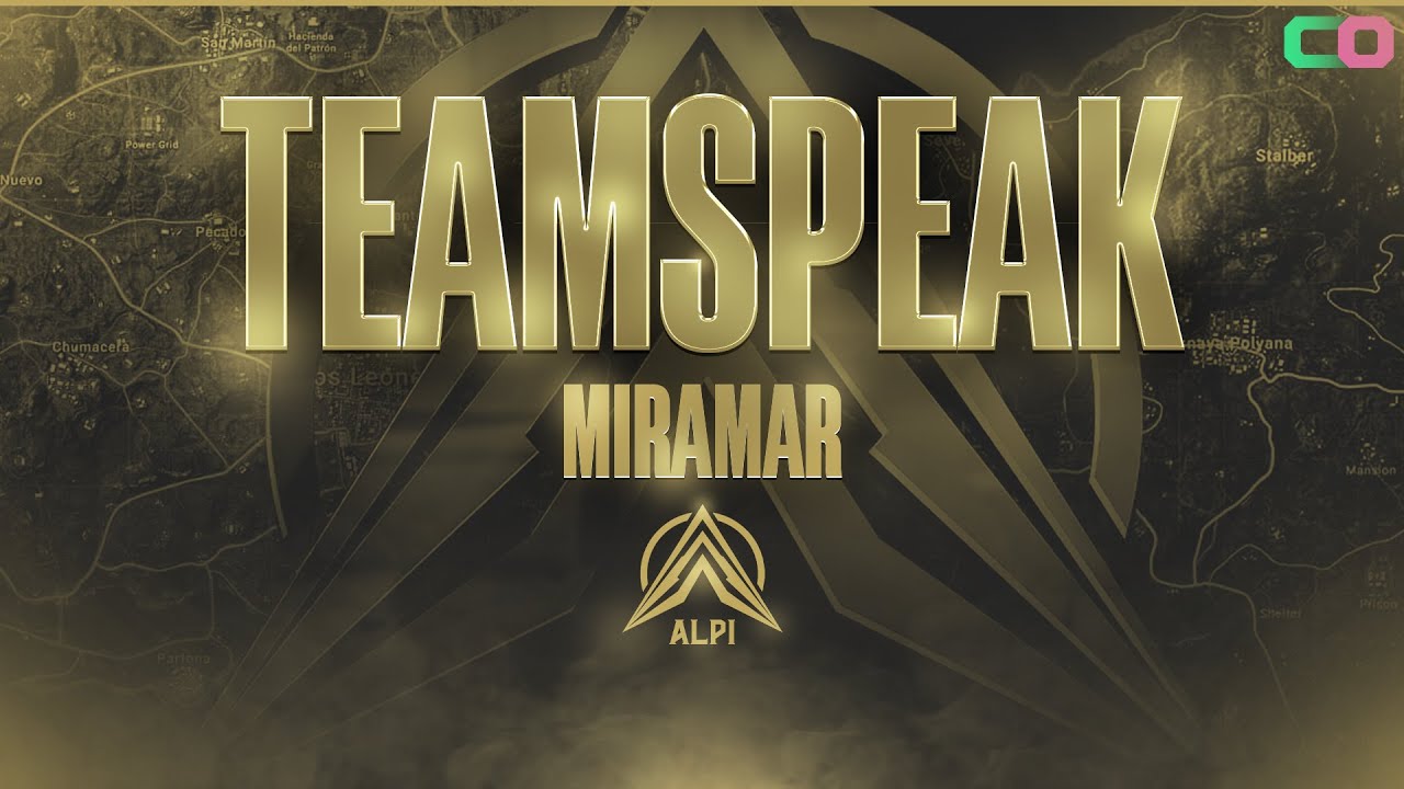 ლოკალური ფინალის TEAMSPEAK 💪 WWCD 17 KILL 🔫 TEAM ALPI