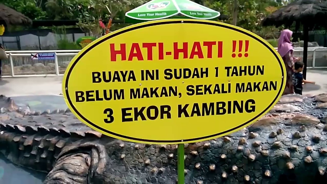 PREDATOR FUN PARK BATU