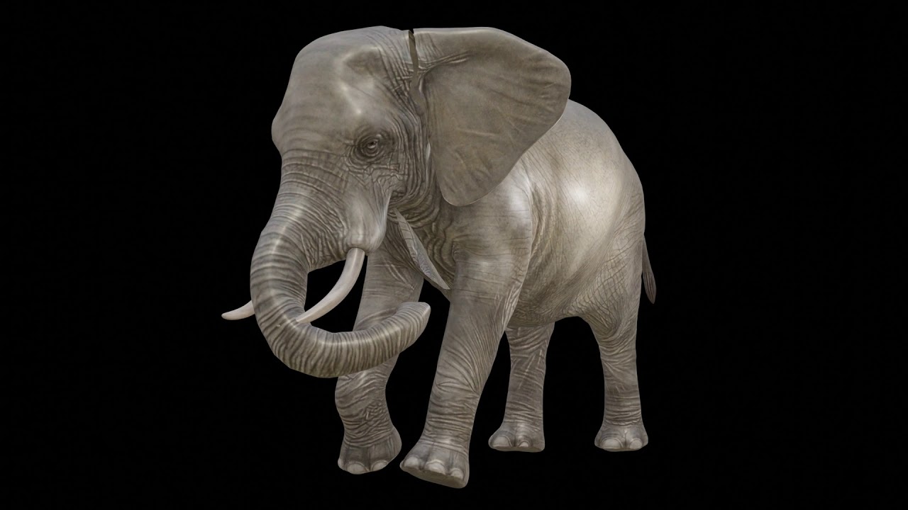 Elephant Test Rig