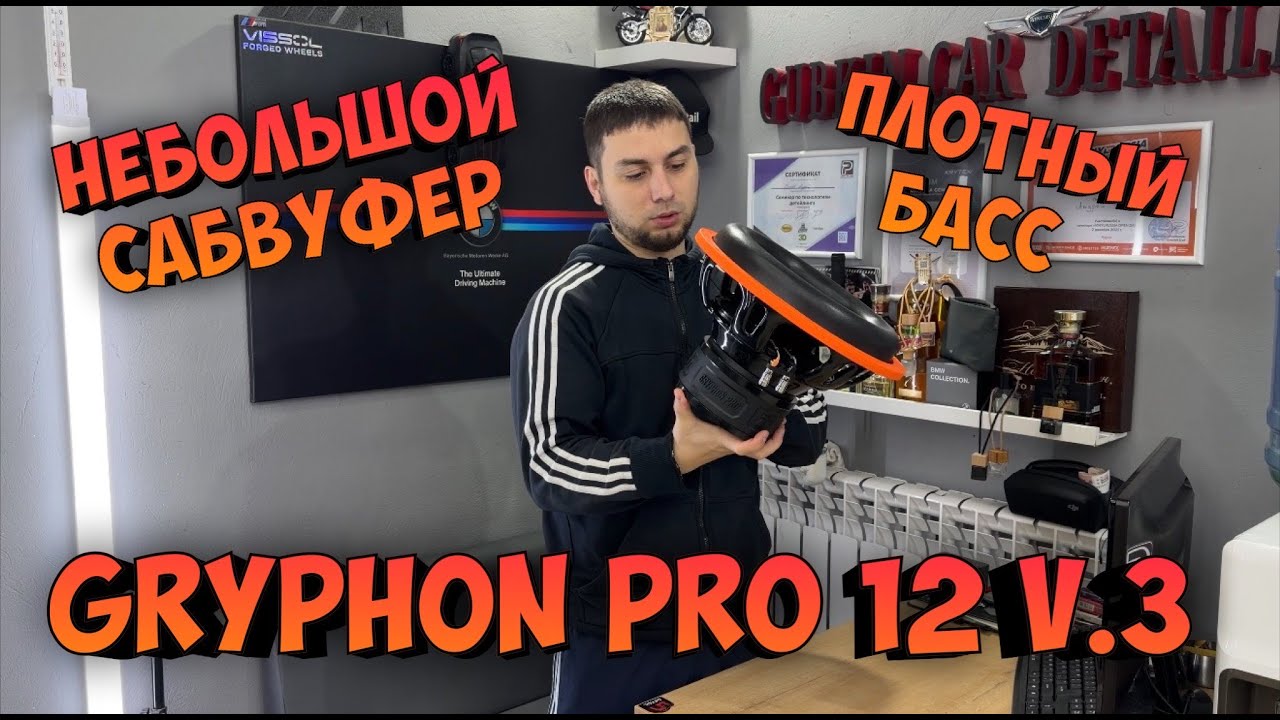 Обзор САБВУФЕРА Gryphon Pro 12 V.3