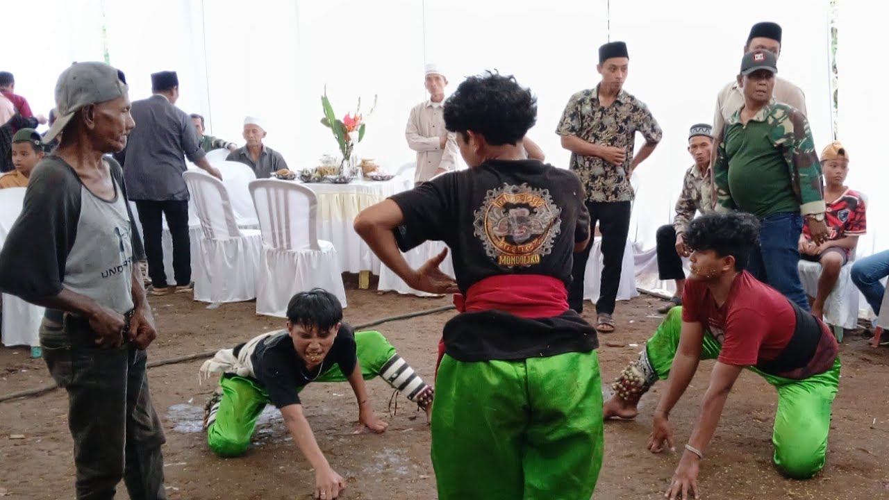 Barong bukung Banyuwangi #jaranan Lintang Joyo Kusumo Live Kalibendo
