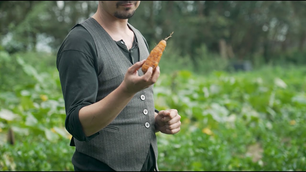 Solidarische Landwirtschaft (SoLawi) 