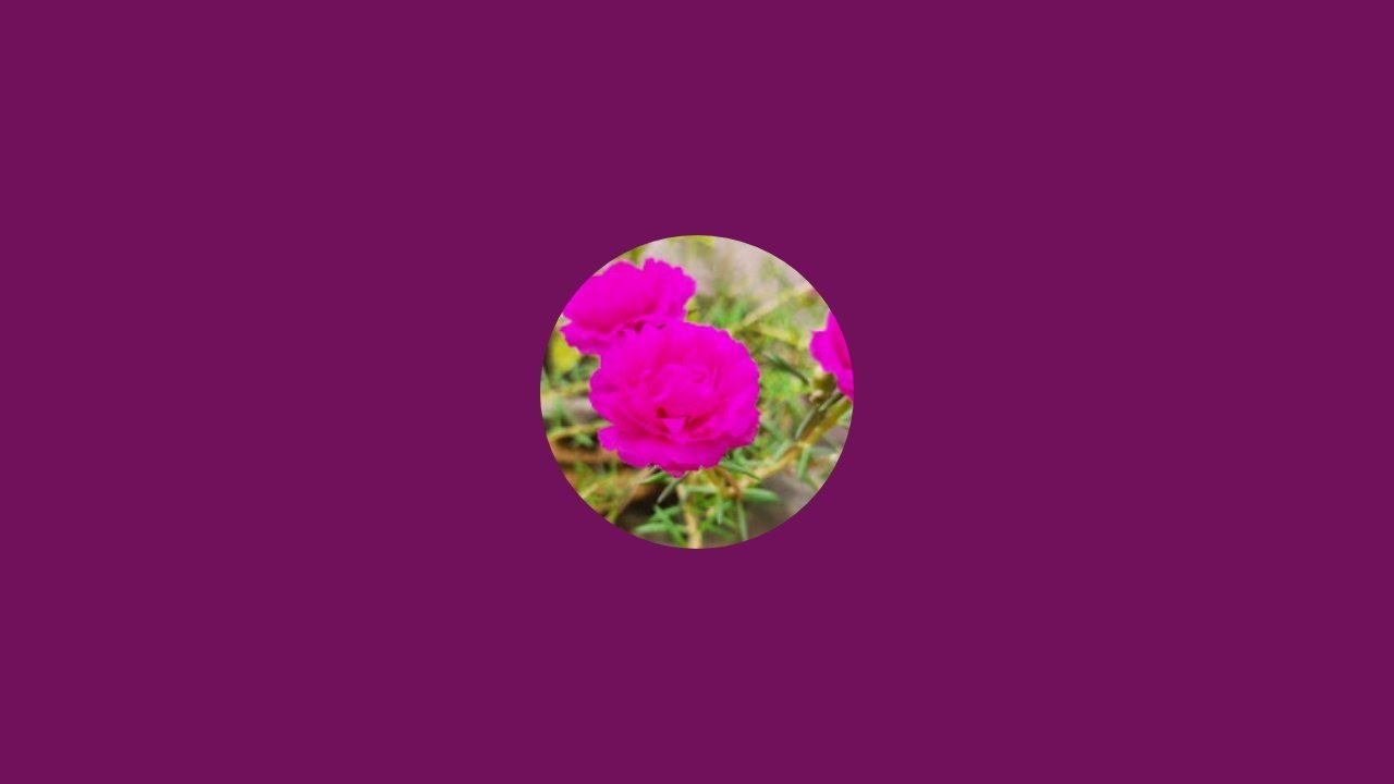 Maya Organics gardening