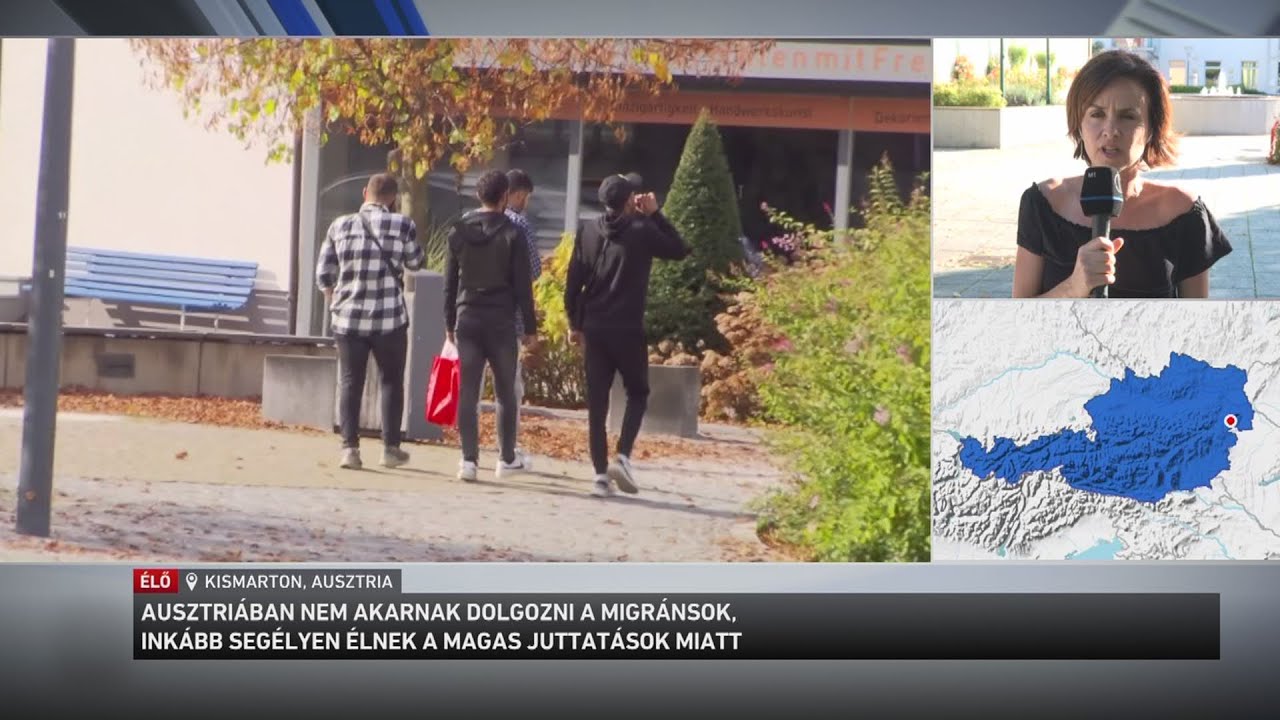 Nem akarnak dolgozni a migránsok, inkább segélyen élnek a magas juttatások miatt