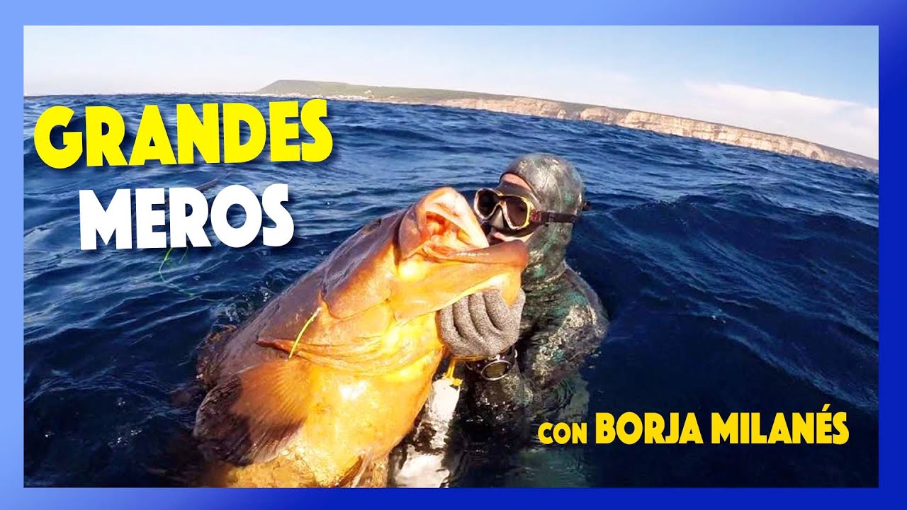 ✅3🔝Grandes MEROS con⚓️Borja Milanés