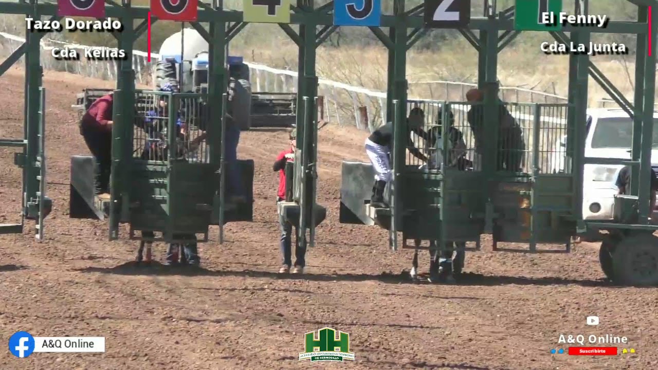 El Fenny Cda La Junta vs El Tazo Dorado Cda Kelias 08/02/26 en HH