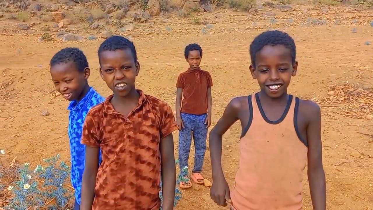 Art MAMAD ADAMII / New oromo music 🎶 Ethiopian fuull Albam