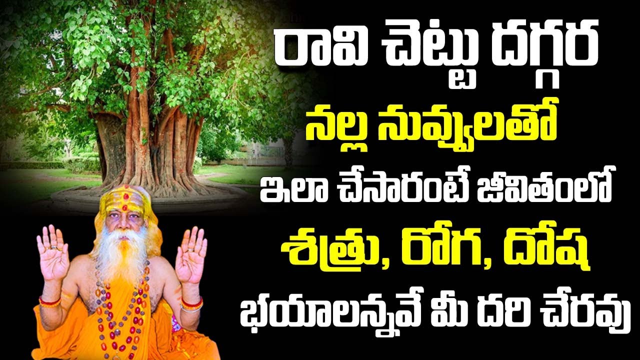 రావి,వేప చెట్టు దగ్గర అయినా నల్ల నువ్వులతో ఇలా చేస్తే ఎలాంటి దోషాలైనా తొలగిపోతాయి | K. SudhakarSwamy
