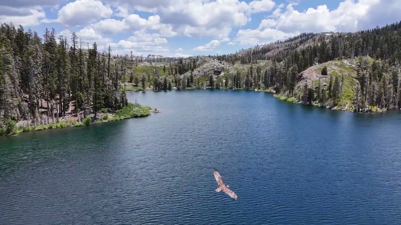 Carr Lake is looking good, Nevada County California, Spring 2025 - HD 4K drone video