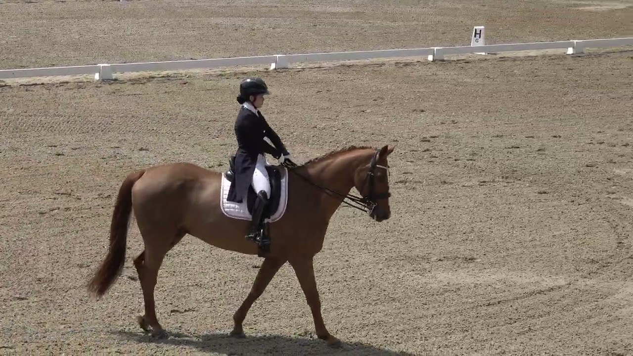 114學年度全國中等學校馬術錦標賽(馬場馬術) 高中組 Senior II 吳苓楷