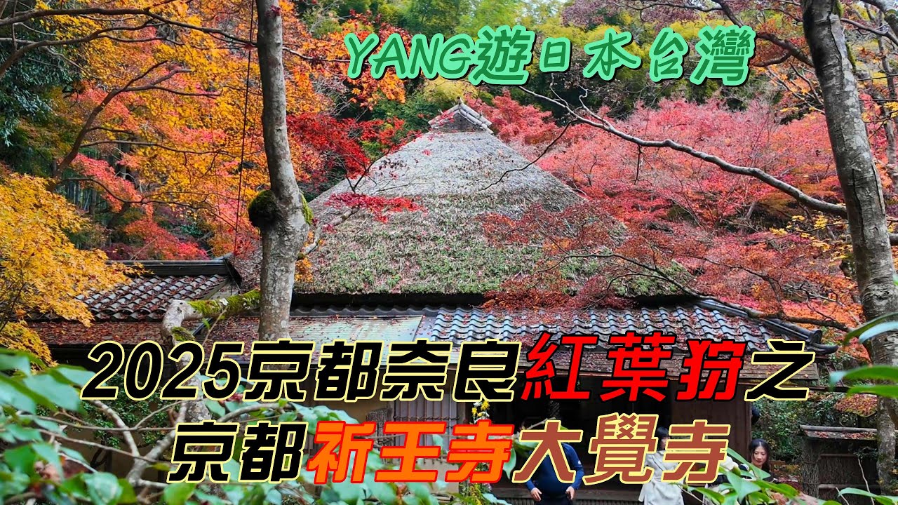2025京都奈良紅葉狩之京都祈王寺大覺寺