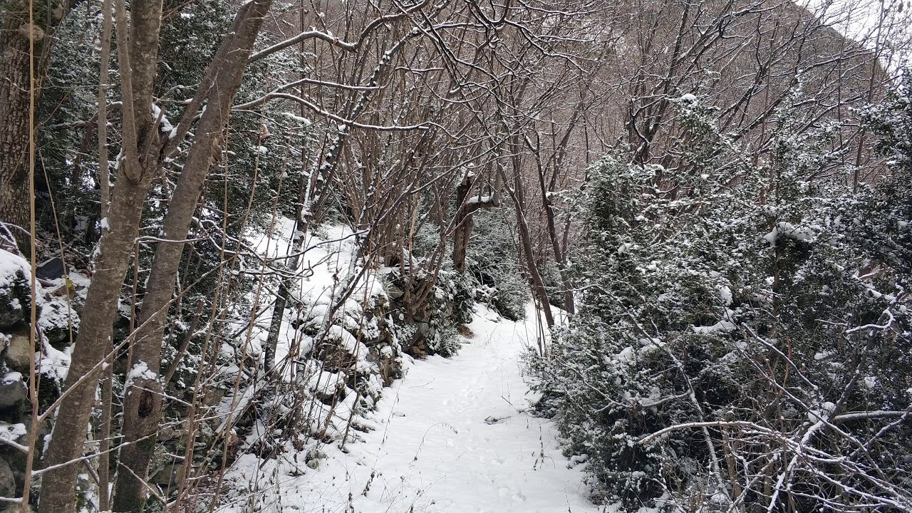 Camino Pleta de Ixeia 4K nevado