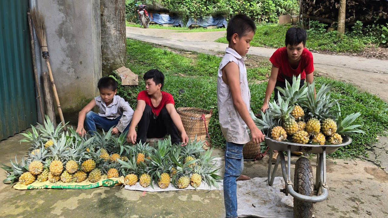 Two poor boys picked pineapples to sell, waiting for the drowned child's family to pick them up