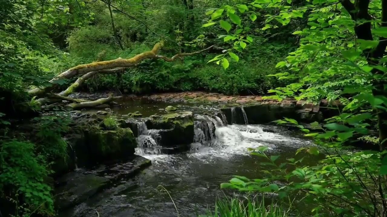 6 Hours of Gentle River Sounds | Peaceful Nature Ambience for Sleep, Study & Relaxation