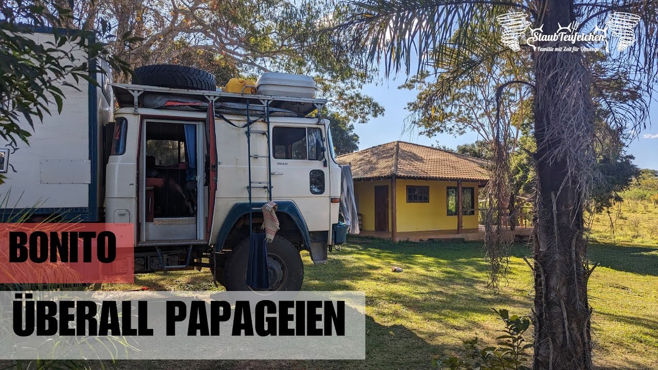 #53 Papageien überall! Brasiliens Geheimtipp Bonito mit dem Allrad Wohnmobil durch Südamerika
