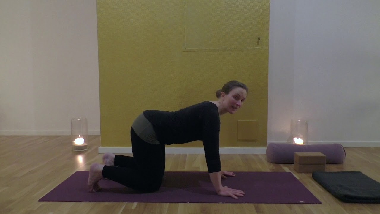 Yoga in Kiel - Yoga Basics - Katze Kuh Hund