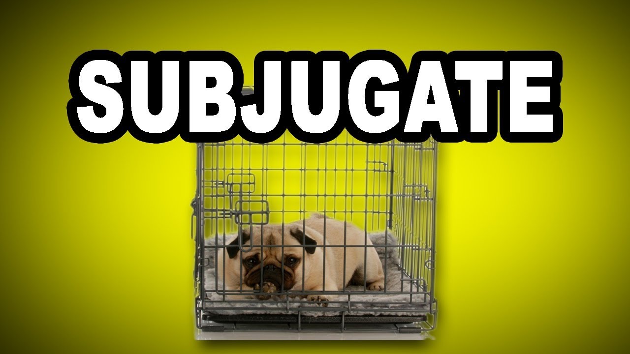 Learn English Words: SUBJUGATE - Meaning, Vocabulary with Pictures and Examples