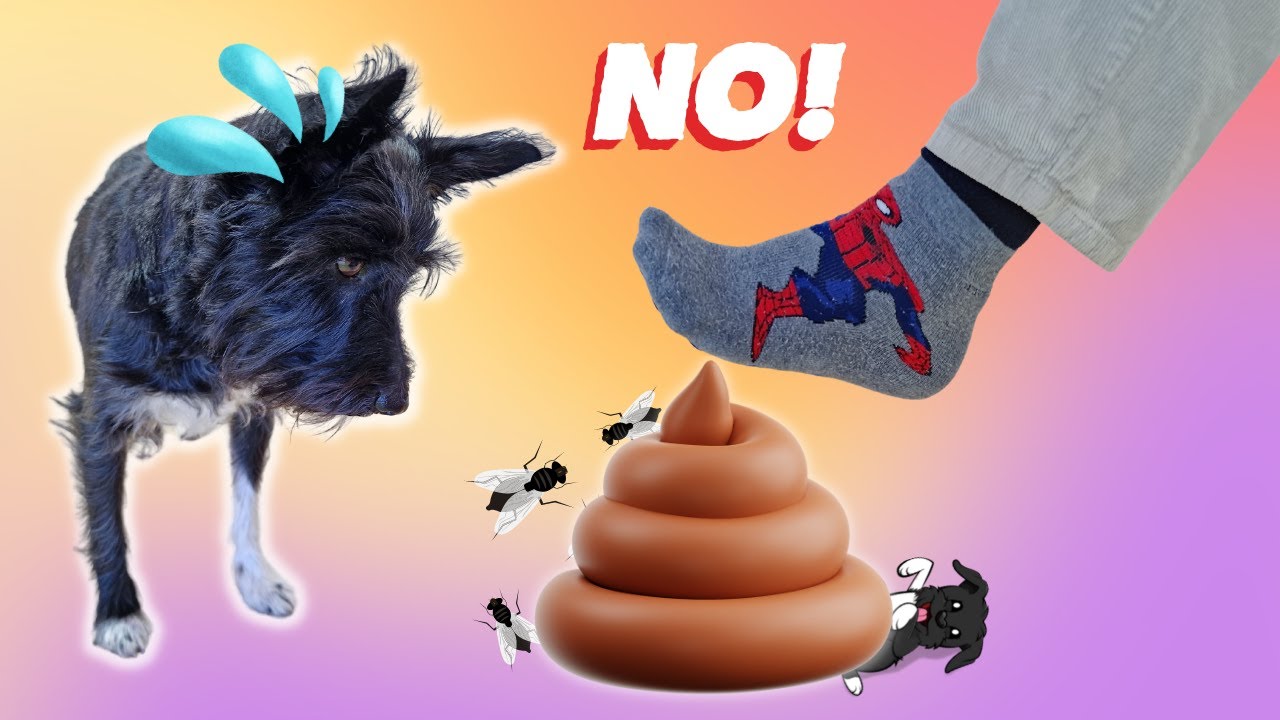 ¡NO PISES LA CACA! Hoy jugamos al juego más divertido! Lana Y Súper Abu