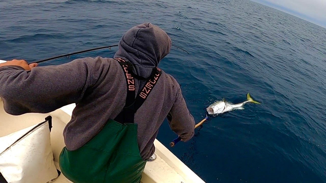 GIANT Yellowtail! Fishing Catalina Island Part 3 of 3 (Catch, Clean and Cook)