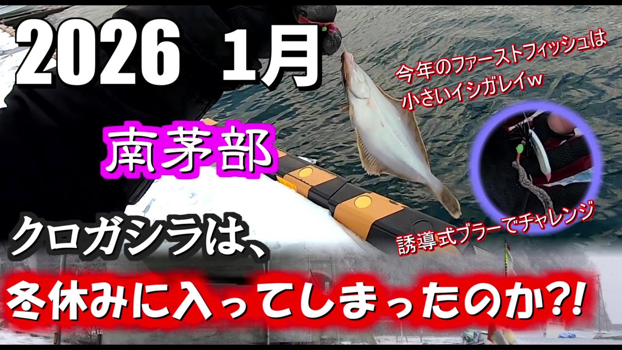 【釣り】【誘導式ブラー】年明け南茅部の漁港をランガンでクロガシラカレイを探しまくり！