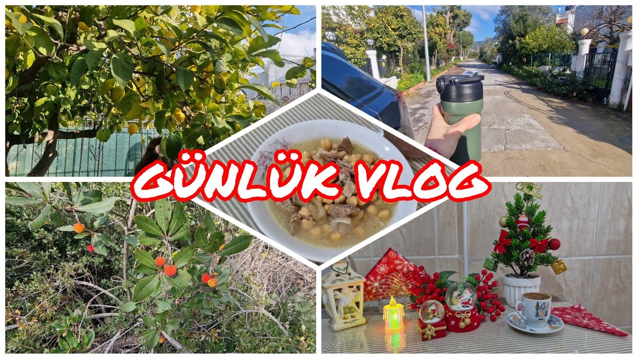 DAĞ ÇİLEĞİ TOPLADIK‼️DENİZ HAVASI İYİ GELDİ😊YENİ YIL HEYECANI🤭ETLİ NOHUT TARİFİMİZ👍